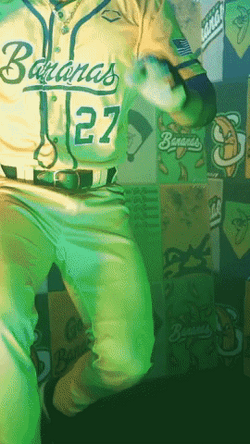 Sport Baseball Savannah Bananas GIF