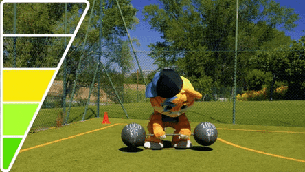 Sport Olympics Moving Cat  GIF