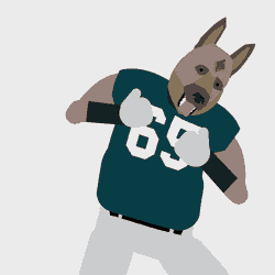 Sports Football GIF