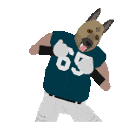 Sports Football Sticker GIF