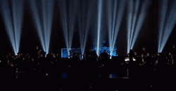 Spotlight Live Singing GIF