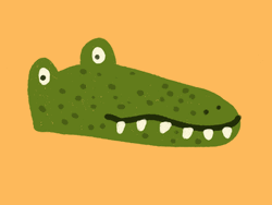 Spotted Alligator Opening Its Mouth GIF
