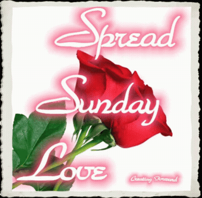 Spread Sunday Love Card GIF