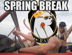 Spring Break Rare Bitcoin Meme GIF