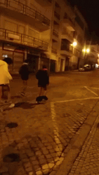 Sprint With Short Legs Down GIF