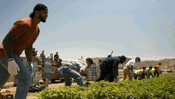 Sprinting Running Competition In Woods GIF