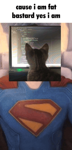 Spush Fortnite Meme GIF