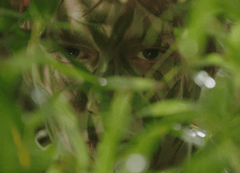 Spy Trough Leaves GIF