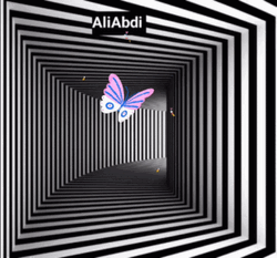 Square Hallway Illusion GIF