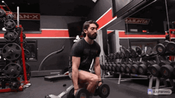 Squat Workout Fitness Exercise  GIF
