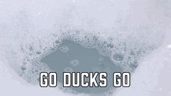 Squeaky Toy Duck Floating Meme GIF