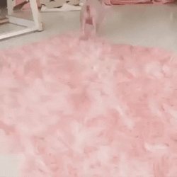 Squeal Like A Baby Pig Playing GIF