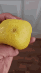Squeezing Juicy Lemon Fruit GIF