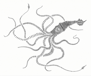 Squid Black And White Contrast GIF