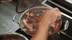 Squid Boiled In A Pot GIF