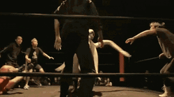 Squid In The Ring GIF