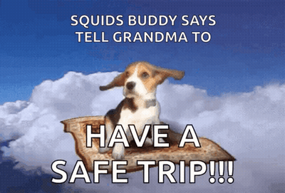 Squids Buddy Says Tell Grandma To Have A Safe Trip ! GIF