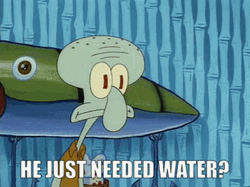Squidward Says Dry Spongebob Needed Water GIF