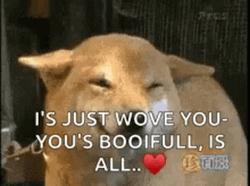 Squinting Funny Dog Meme GIF