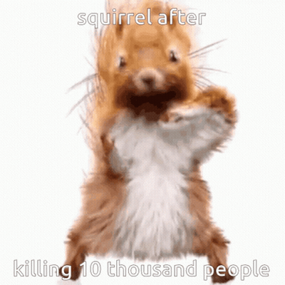 Squirrel After Killing 10 Thousand People GIF