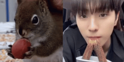 Squirrel Eating Strawberry Next To Man Eating Churros GIF