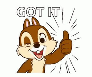 Squirrel Got It Thumbs Up GIF