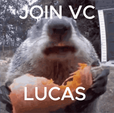Squirrel Holding Food With Join Vc Lucas GIF