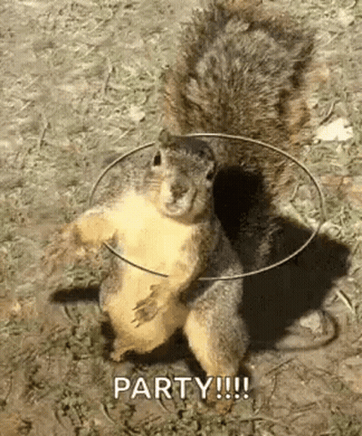 Squirrel Holding Hula Hoop Around Neck Standing On Hind Legs GIF