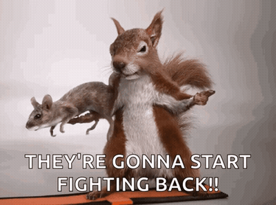 Squirrel Holding Mice Ready To Fight GIF