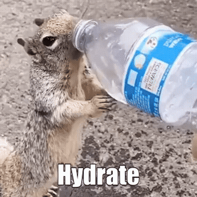 Squirrel Holding Water Bottle Over Head GIF