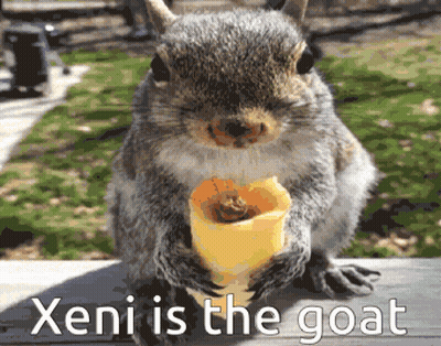 Squirrel Holding Yellow Object Xeni Is The Goat GIF