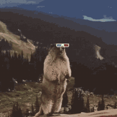 Squirrel In 3D Glasses By Pimp Sign GIF