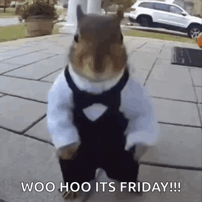 Squirrel In Tuxedo Saying Woo Hoo Its Friday GIF