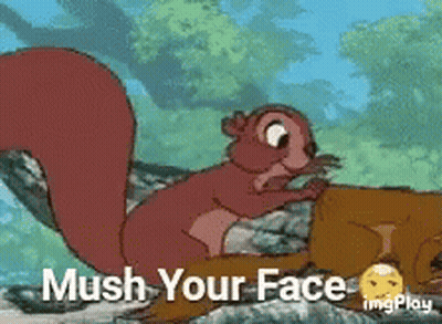 Squirrel Licking Face With Mush GIF