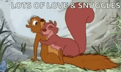 Squirrel Lots Of Love And Snuggles GIF