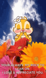 Squirrel Love Appreciation GIF