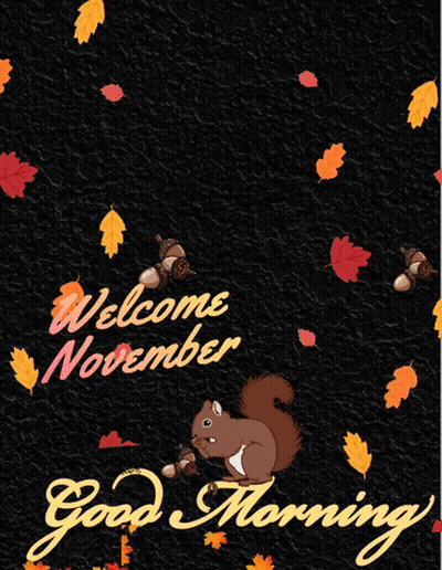 Squirrel On Black Background With Leaves Saying Thanks For The Light GIF