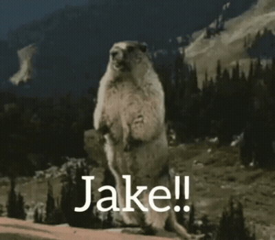 Squirrel On Hind Legs Saying Jake GIF