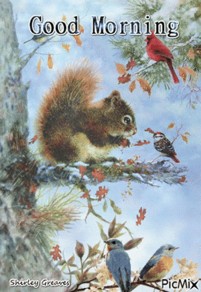 Squirrel On Tree Branch With Birds Good Morning GIF