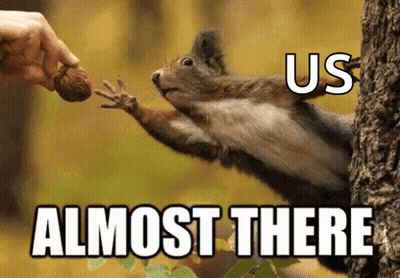 Squirrel Reaching For Nut Saying Us Almost There GIF