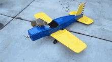 Squirrel Riding An Airplane GIF