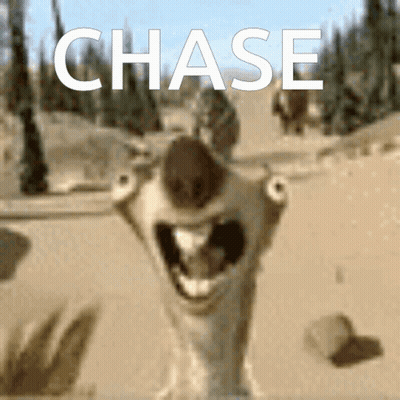 Squirrel Saying Chase GIF