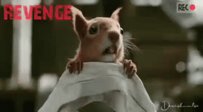 Squirrel Sitting On Cloth Saying Revenge GIF