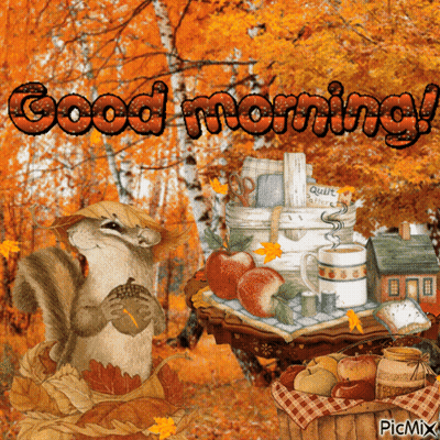Squirrel Sitting On Table Saying Good Morning GIF