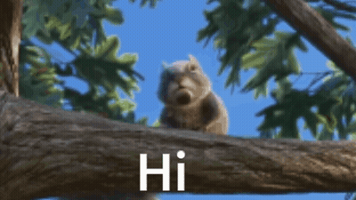 Squirrel GIFs