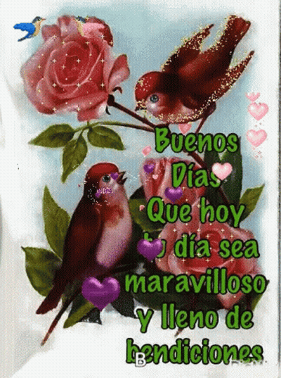 Squirrel Smelling Flower Saying About God GIF