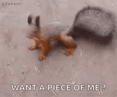 Squirrel Standing Near Hole GIF