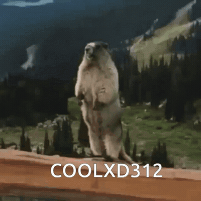 Squirrel Standing On Hind Legs Coolxd312 GIF