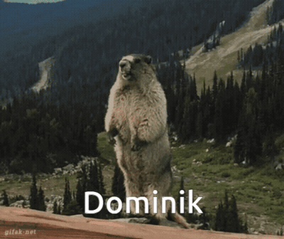 Squirrel Standing On Hind Legs Dominik GIF