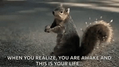 Squirrel Standing On Hind Legs Holding Nut GIF